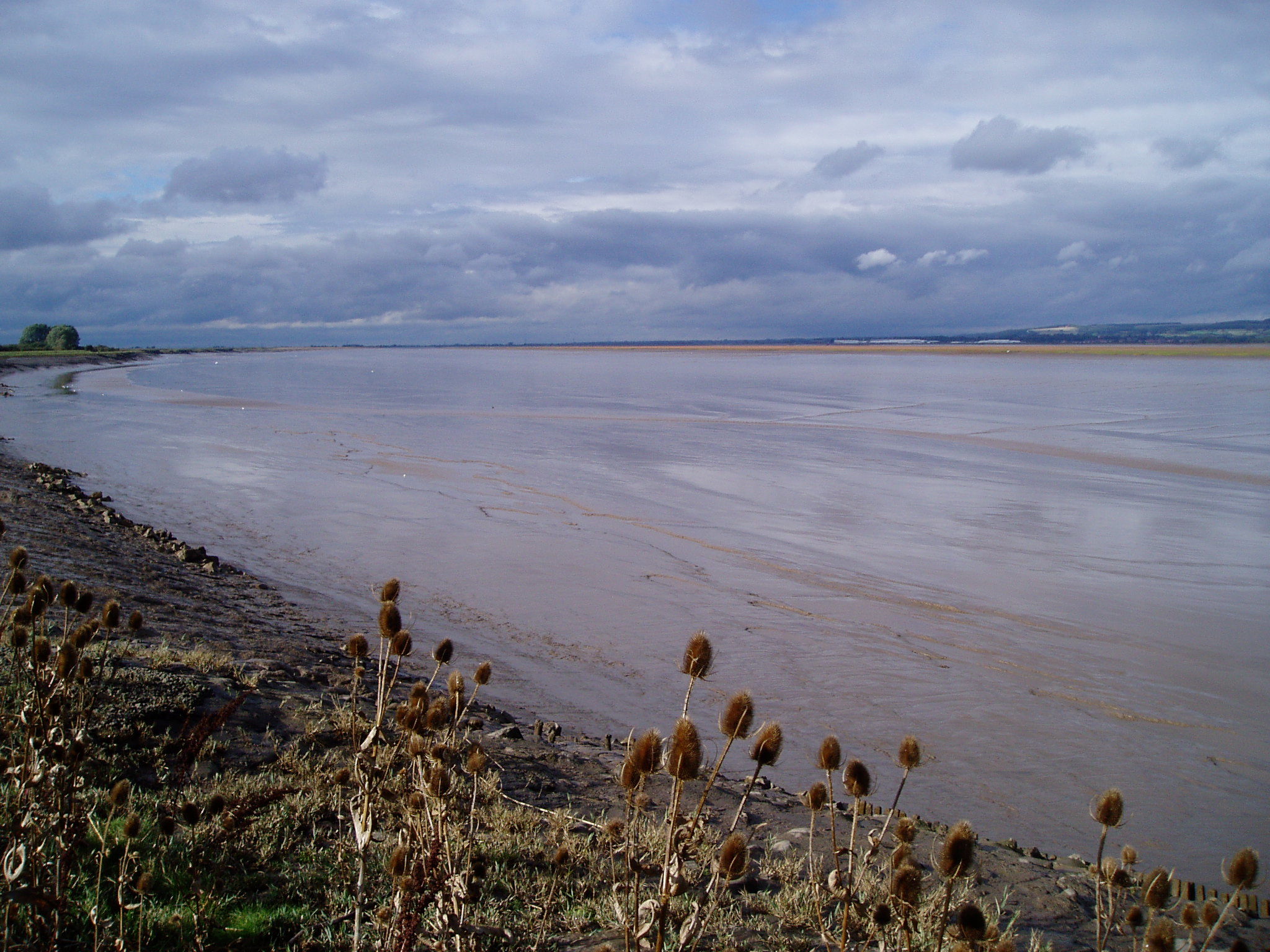 Ancholme IDB- Humber Estuary